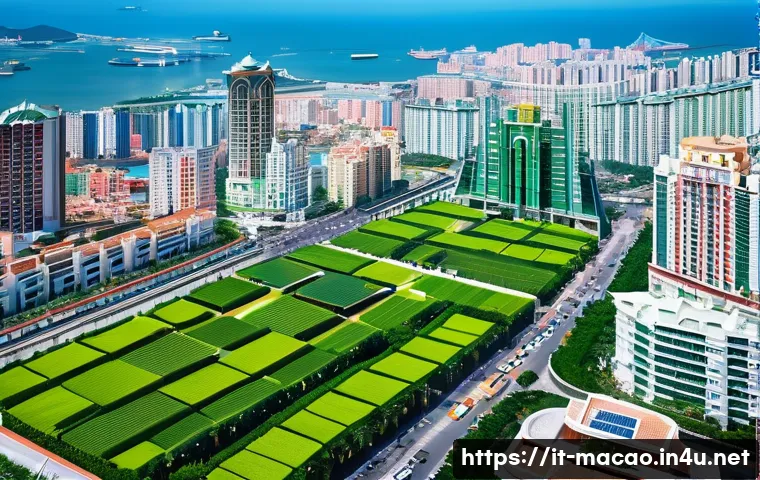 마카오의 국제적 위치와 전략 관련 이미지 1